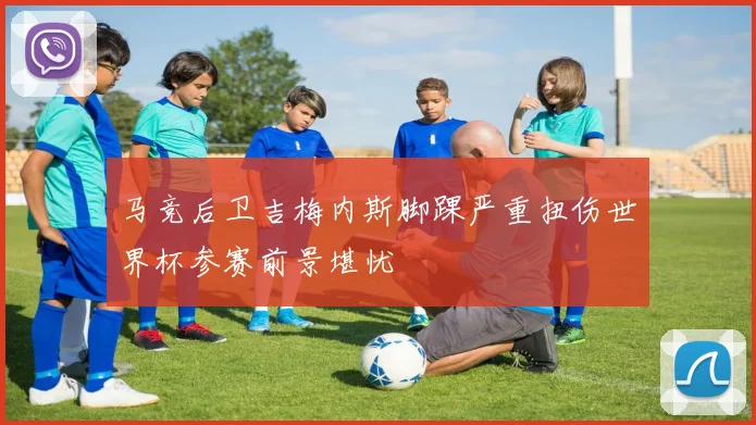 马竞后卫吉梅内斯脚踝严重扭伤世界杯参赛前景堪忧
