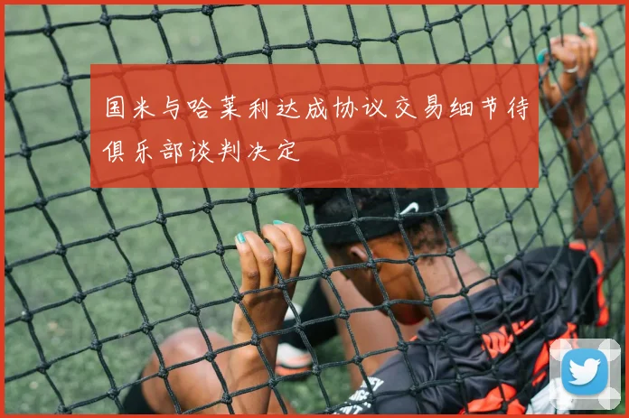 国米与哈莱利达成协议交易细节待俱乐部谈判决定