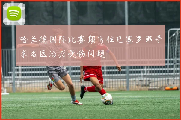 哈兰德国际比赛期飞往巴塞罗那寻求名医治疗受伤问题